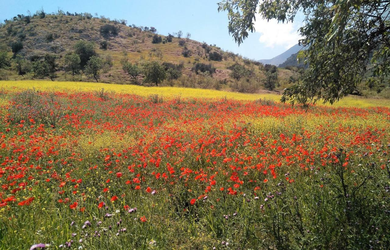 Magina Dream La Guardia Turismo Rural La Guardia de Jaén Eksteriør billede